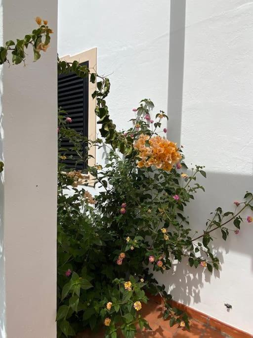 Albufeira Falesia Beach Apartment 外观 照片